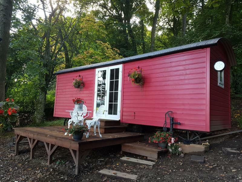 The Coppice Bed & Breakfast Roberton Exterior foto