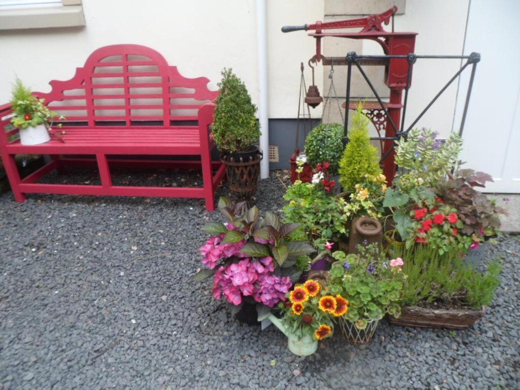 The Coppice Bed & Breakfast Roberton Exterior foto